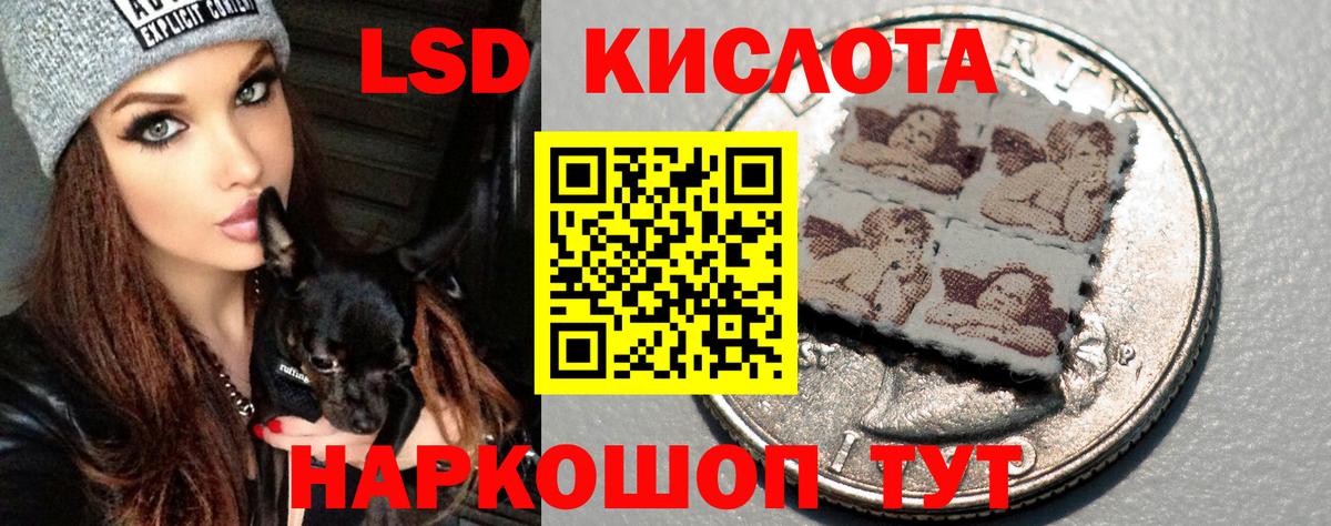 Чистополь  Лсд 25 экстази кислота  Лсд 25 экстази ecstasy  Вход с VPN 