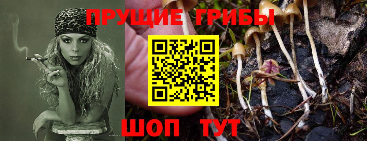 Галлюциногенные грибы ЛСД  Вход с VPN  Чистополь 