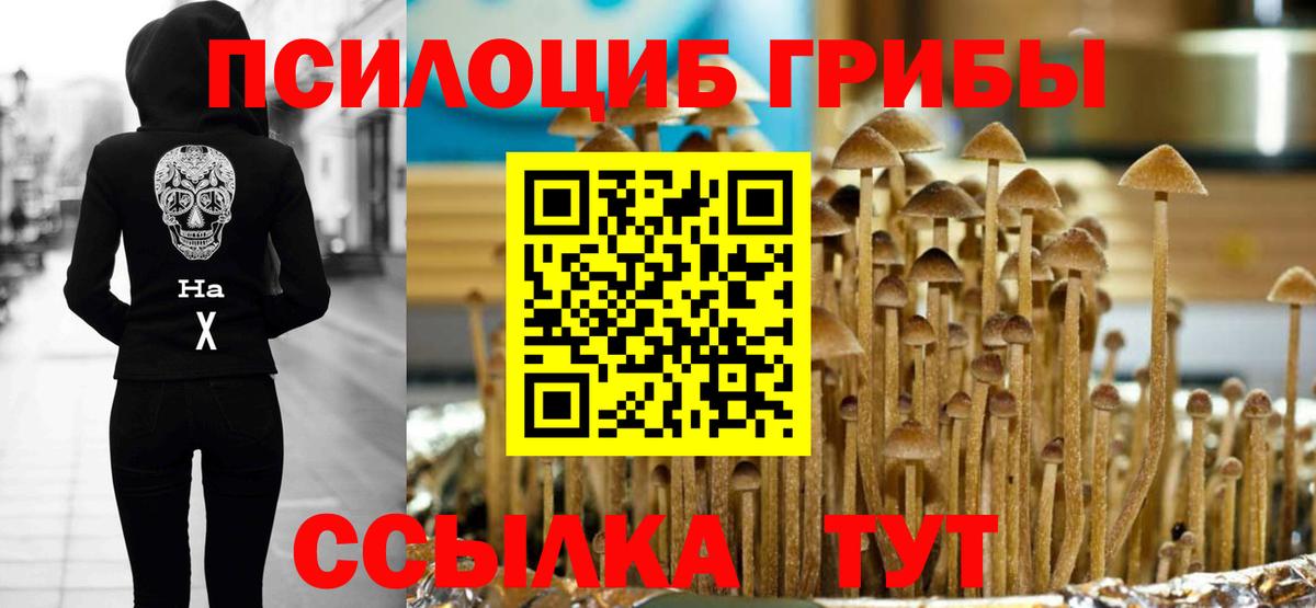 Галлюциногенные грибы Cubensis Чистополь